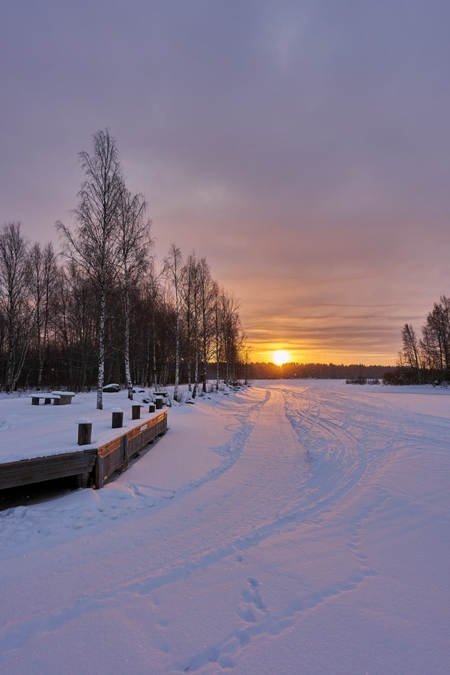 Sigma 15mm f1.4 DC_27w.jpg