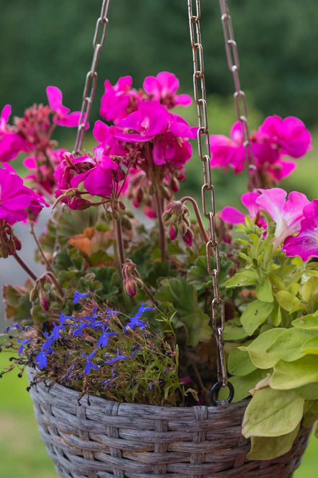 Sony RX1R mk3_8w.jpg