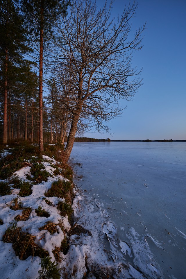 Viltrox 9mm f2.8_3w.jpg