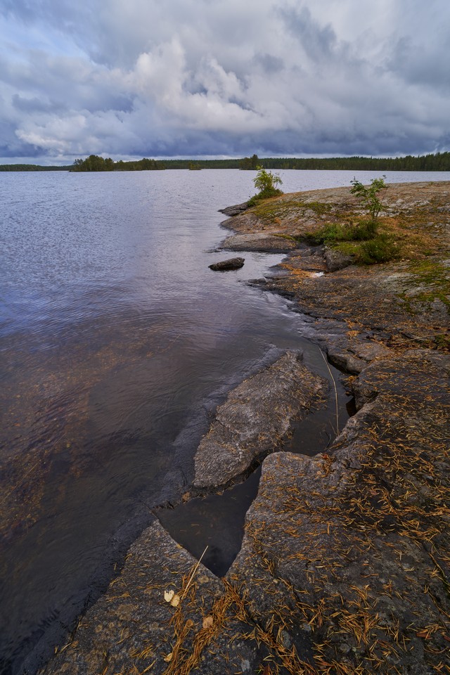 Samyang 16mm f2.8_23w.jpg