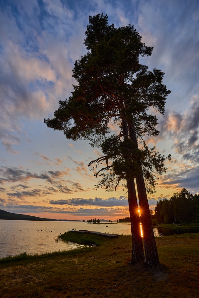 Canon RF-S 10-18mm_24w.jpg