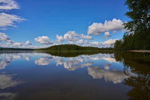 Samyang V-AF 20mm F1.9_7w.jpg