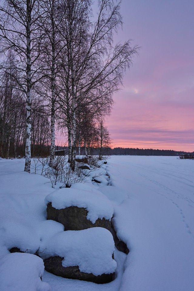 Sigma 15mm f1.4 DC_18w.jpg