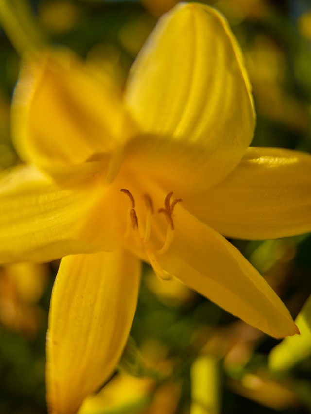Panasonic L10_33w.jpg