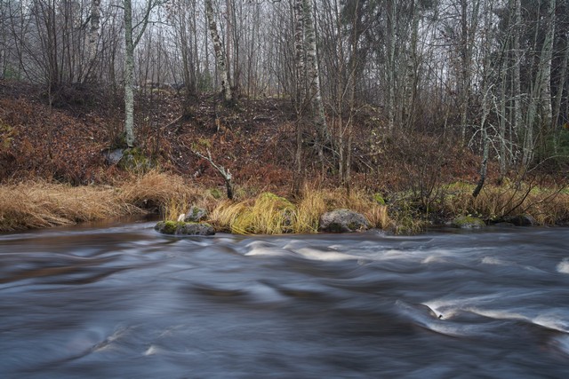 Sigma 35mm f1.2 II_6w.jpg