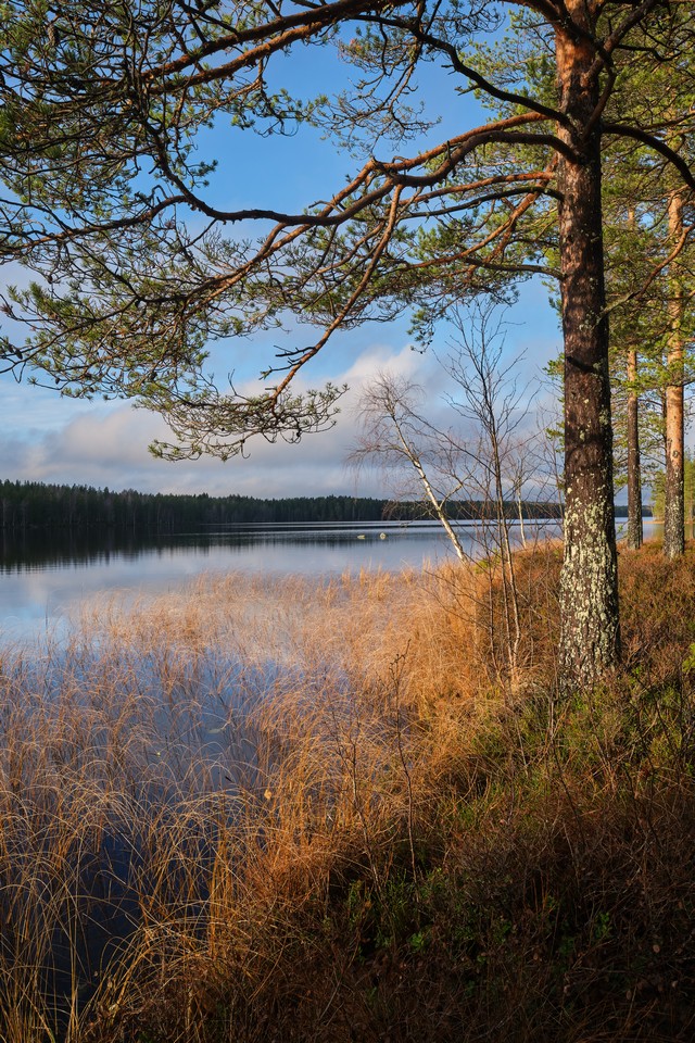 Fujifilm X-T30 III_8w.jpg