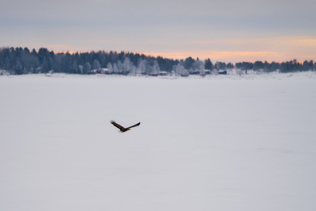 Sigma 200mm f2_29w.jpg