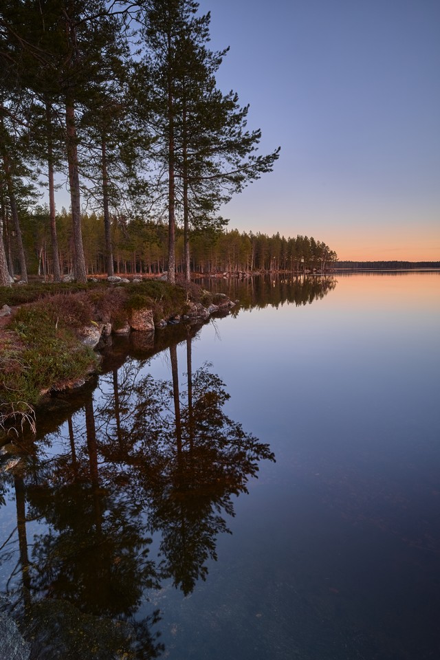 Canon EOS R6 Mark III_12w.jpg