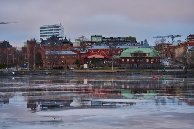 Tamron 25-200mm_18w.jpg