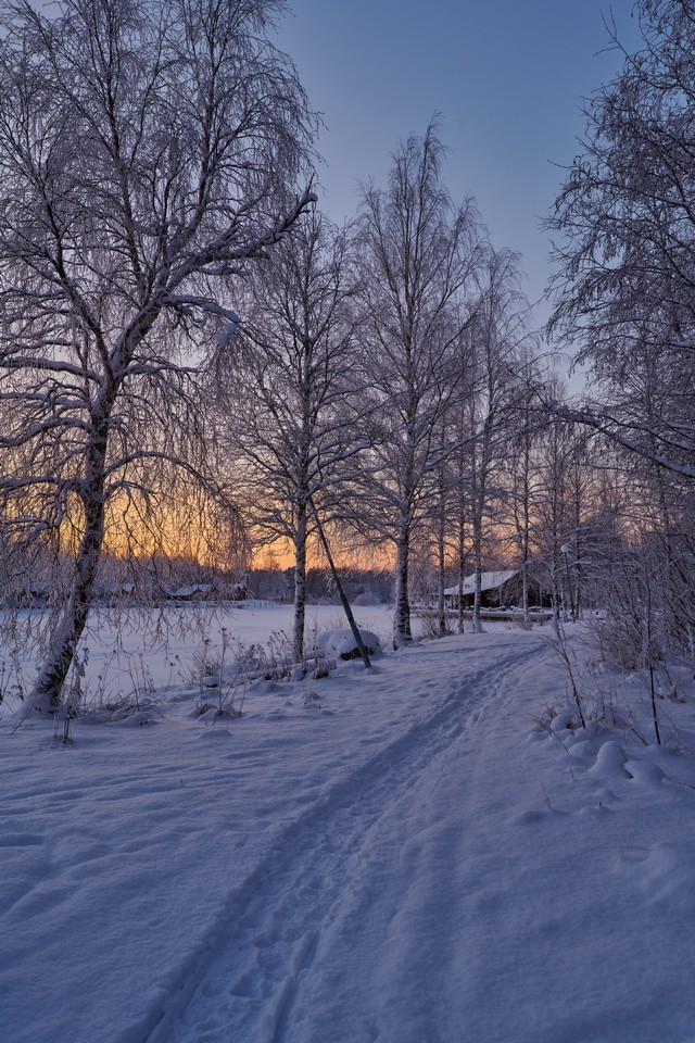 Nikon Z 24-105 f4-7.1_19w.jpg