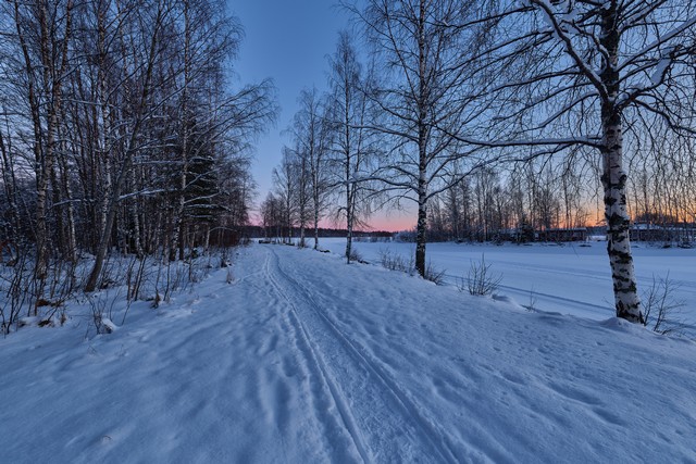 Canon RF 14mm f1.4L VCM_4w.jpg