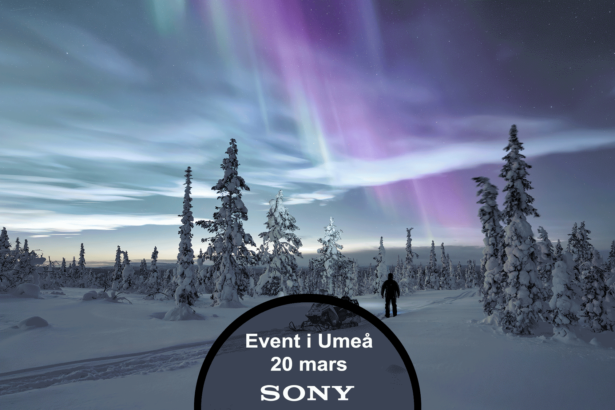 Magnus Winbjörk - norrsken, event i Umeå 20 mars 2024