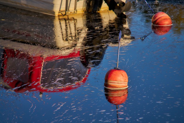 Sigma 20-200mm DG C_24w.jpg