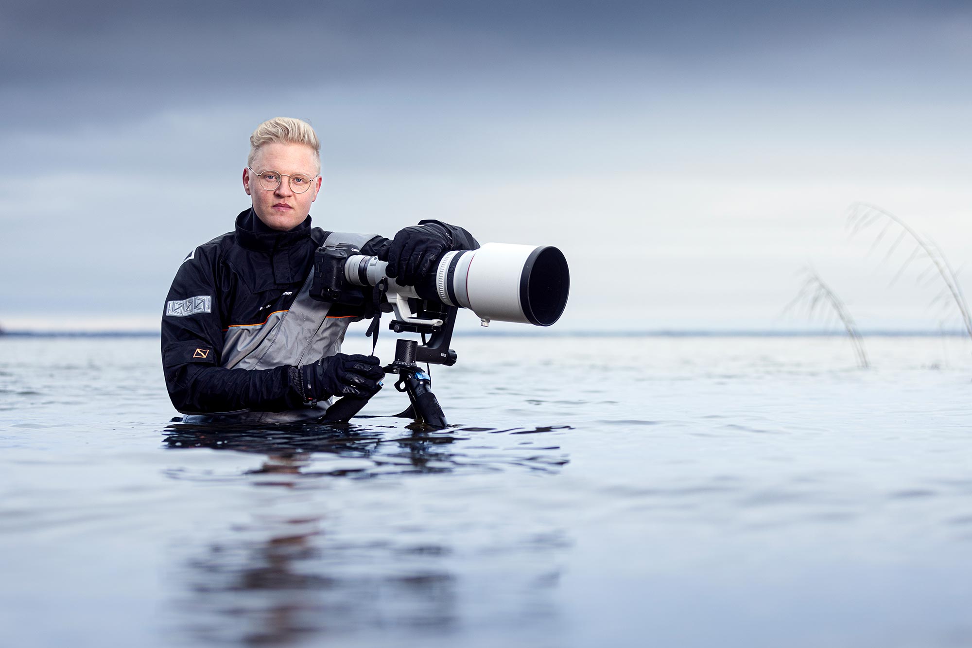 Jonas Classon Fågelfotograf