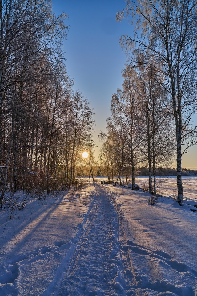 Laowa 28mm f1.2_4f11w.jpg