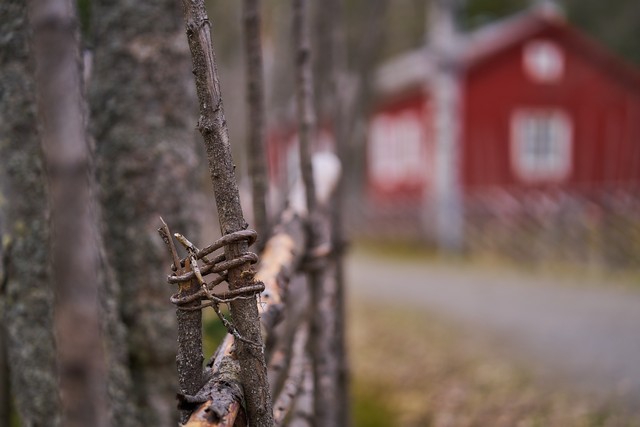 Samyang 85mm f1.8 P_23w.jpg