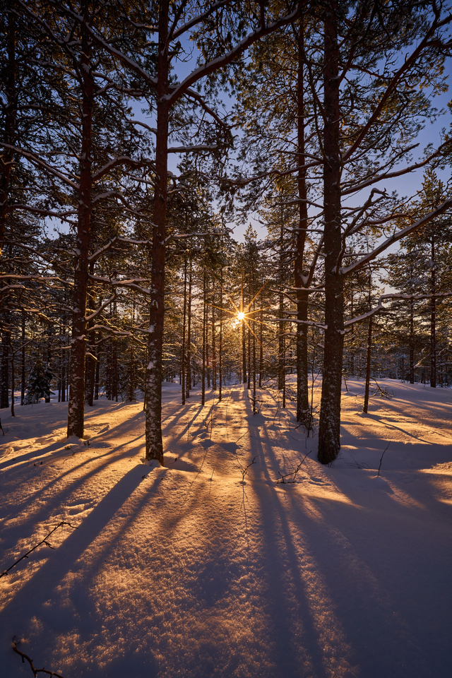 Nisi 15mm f4_26w.jpg