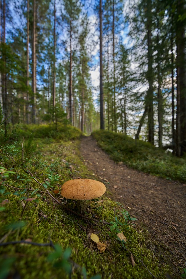 Tamron 12-20mm f2.8_21w.jpg