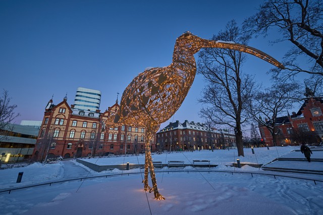 Canon RF 14mm f1.4L VCM_27w.jpg