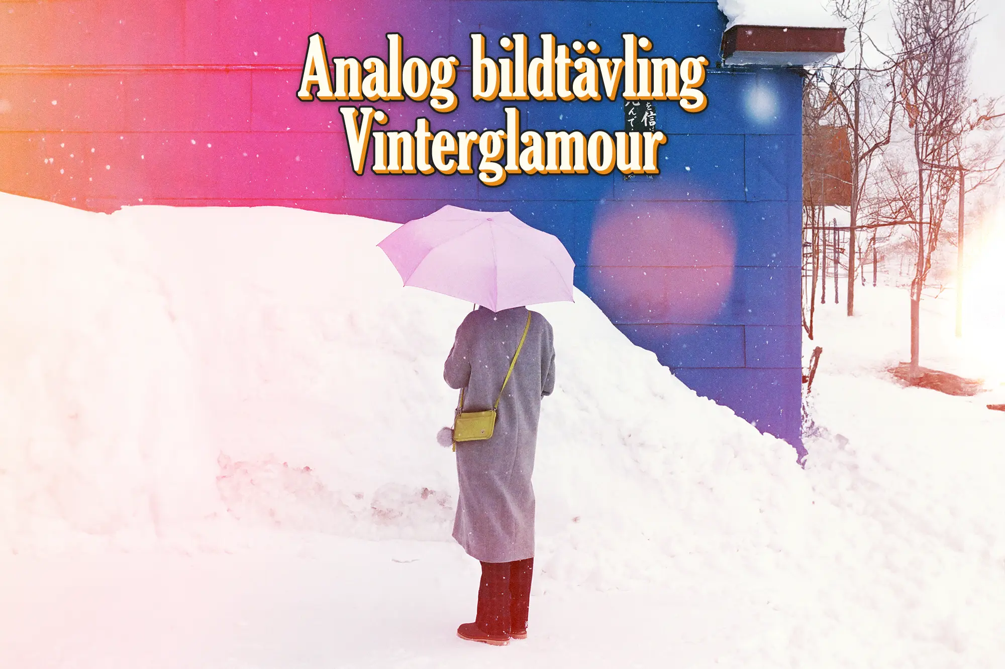 AnalogbildtävlingVinterglamor_blogg.webp