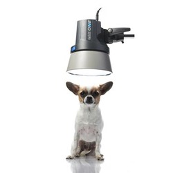 Studioblixt D-Lite RX ONE 