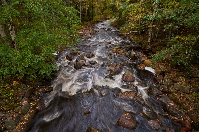 Sigma 20-60mm f2.8_4_8w.jpg