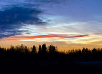 DSC00203-2k.jpg
