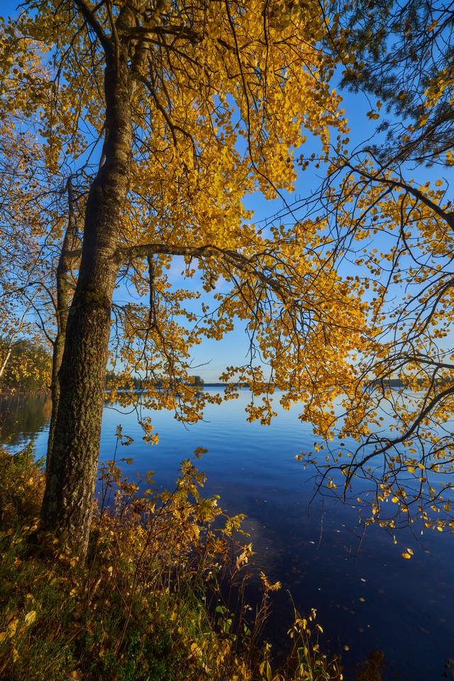 Viltrox 14mm f4_17w.jpg