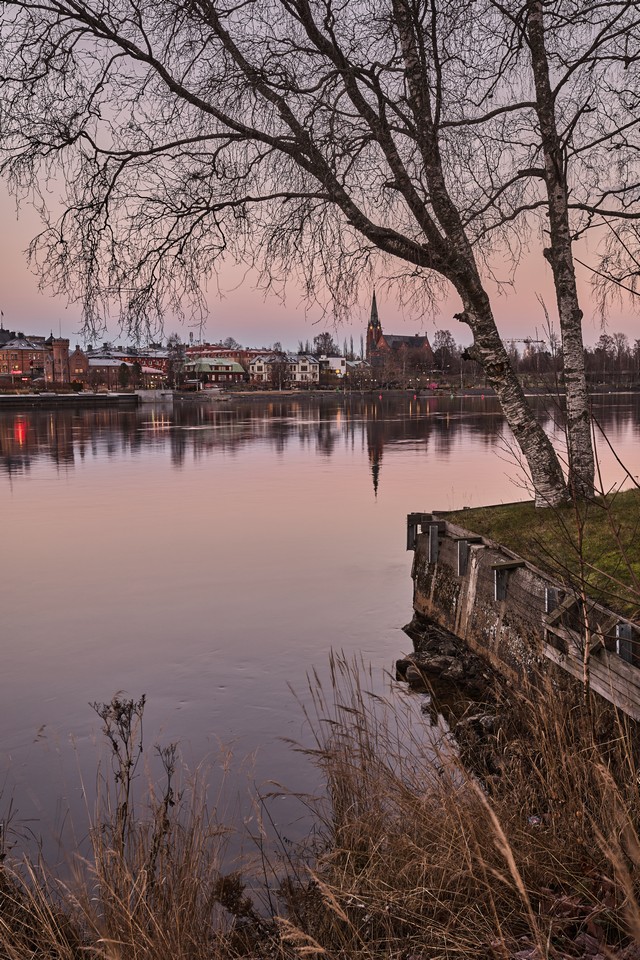 Canon EOS R6 Mark III_29w.jpg