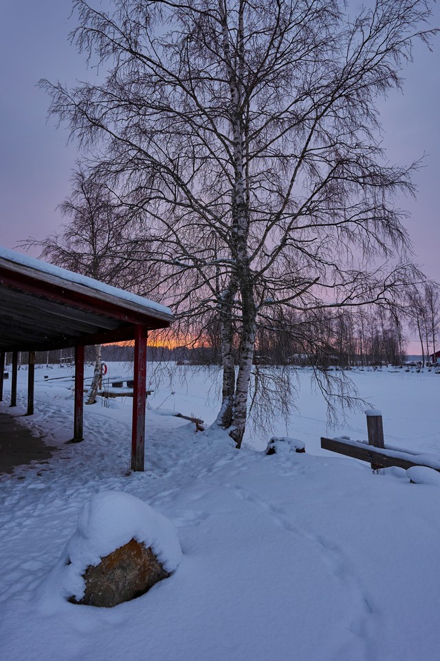 Sigma 15mm f1.4 DC_20w.jpg