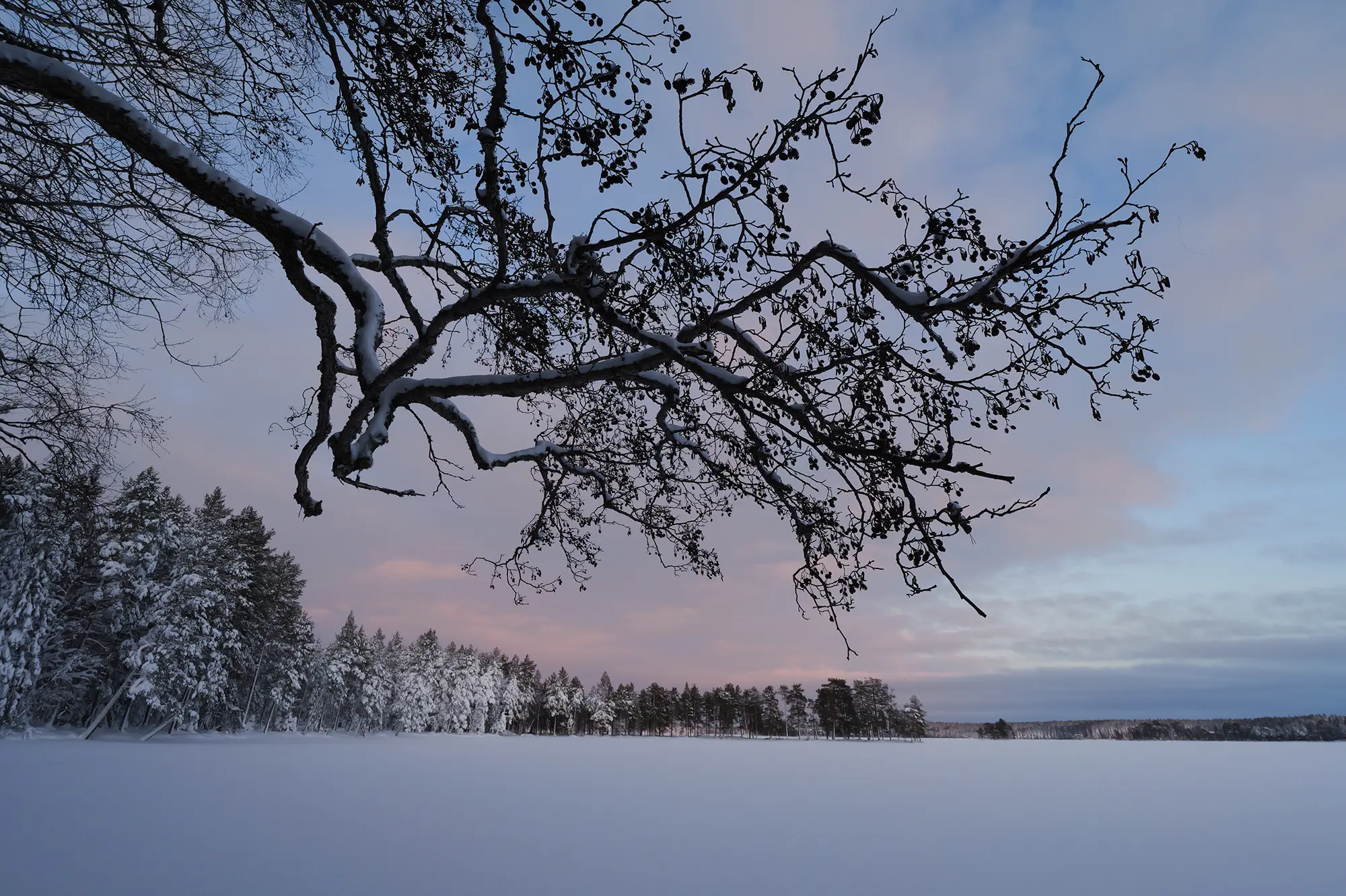 Panasonic G9 II Test_blogg.webp