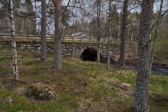 Samyang 14-24mm f2.8_5w.jpg
