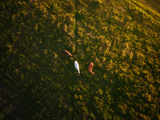 DJI_0056.jpg