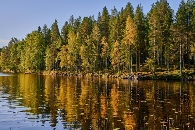 Nikon Z 24-70mm f2.8 II_14w.jpg