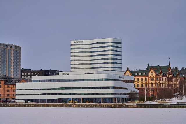 Sony 100mm f2.8 Macro_3w.jpg