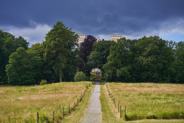 Sony FE 55mm f1.8_17w.jpg