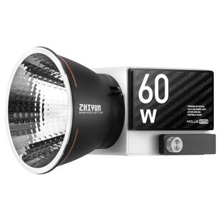 Molus G60 COB LED-lampa