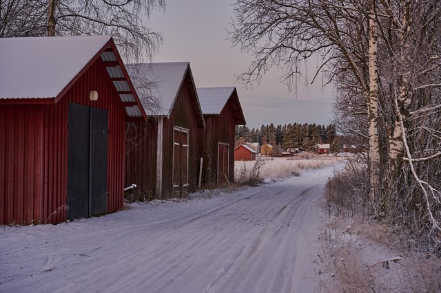 Nikon Z DX MC 35mm f1.7_3w.jpg