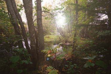 tokina-firin-20-2-fe-mf_0.png