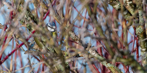 ny-film-tamron-150-600mm_0.jpg