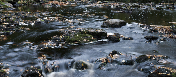 nikon-35mm-f1-4g_0.jpg
