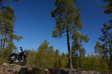ducati-rx1_0.jpg