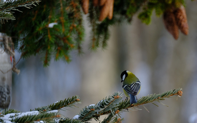 fujifilm-fujinon-xf-100-400-4-5-5-6-r-lm-ois-wr_0.jpg