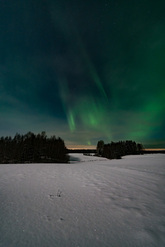 aurora_0_1.jpg