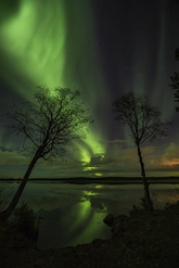 norrsken-ikvall_0.jpg