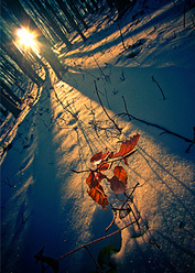 tema-vinter-_0.jpg
