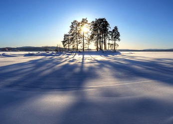 vinnare-av-fototavlingen-_0.jpg