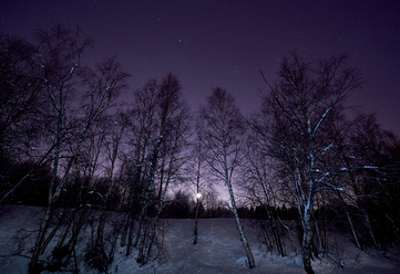 samyang-af-14-2-8-ed-as-if-ef-umc_0.png
