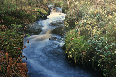 canon-ef-50-f-1-8-ii_0.jpg