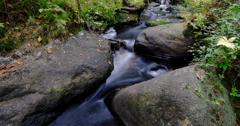 fujifilm-x-t2_0.jpg